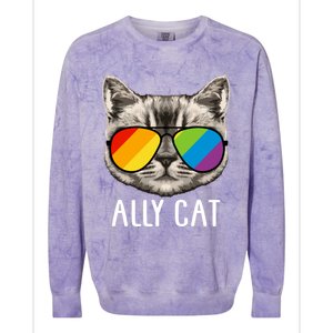 Ally Ca Ally Cat Lgbtq+ Lgbt Flag Lgbt Ally Cat Gift Colorblast Crewneck Sweatshirt