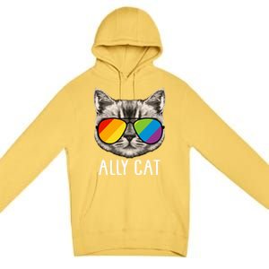 Ally Ca Ally Cat Lgbtq+ Lgbt Flag Lgbt Ally Cat Gift Premium Pullover Hoodie