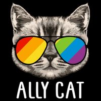 Ally Ca Ally Cat Lgbtq+ Lgbt Flag Lgbt Ally Cat Gift Backpack