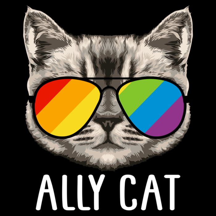 Ally Ca Ally Cat Lgbtq+ Lgbt Flag Lgbt Ally Cat Gift Backpack