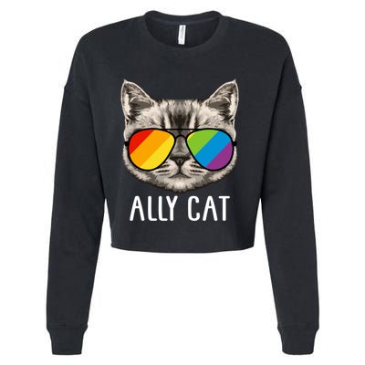 Ally Ca Ally Cat Lgbtq+ Lgbt Flag Lgbt Ally Cat Gift Cropped Pullover Crew