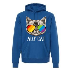 Ally Ca Ally Cat Lgbtq+ Lgbt Flag Lgbt Ally Cat Gift Premium Hoodie