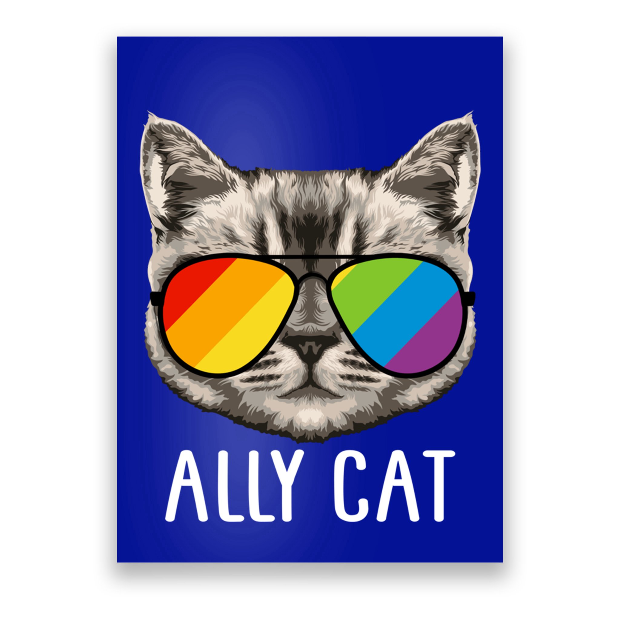 Ally Ca Ally Cat Lgbtq+ Lgbt Flag Lgbt Ally Cat Gift Poster