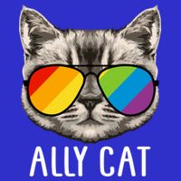 Ally Ca Ally Cat Lgbtq+ Lgbt Flag Lgbt Ally Cat Gift Poster