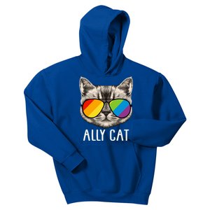 Ally Ca Ally Cat Lgbtq+ Lgbt Flag Lgbt Ally Cat Gift Kids Hoodie