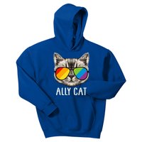 Ally Ca Ally Cat Lgbtq+ Lgbt Flag Lgbt Ally Cat Gift Kids Hoodie