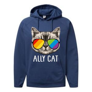 Ally Ca Ally Cat Lgbtq+ Lgbt Flag Lgbt Ally Cat Gift Performance Fleece Hoodie