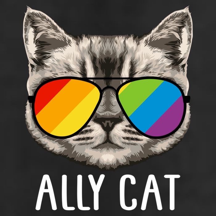 Ally Ca Ally Cat Lgbtq+ Lgbt Flag Lgbt Ally Cat Cute Gift Cool Comfort Performance Bucket Hat