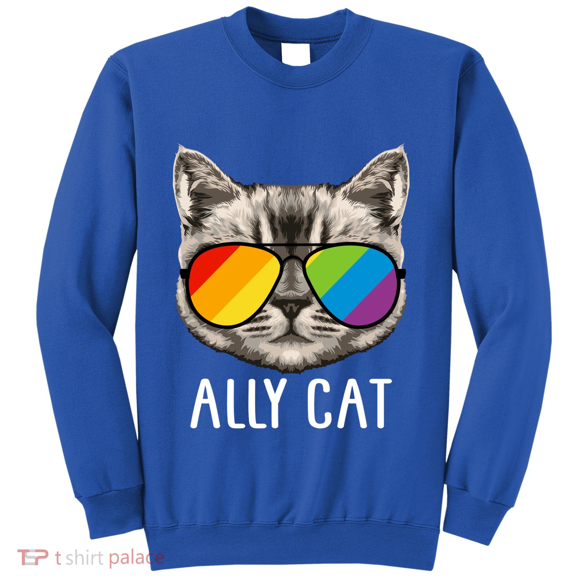 Ally Ca Ally Cat Lgbtq+ Lgbt Flag Lgbt Ally Cat Cute Gift Sweatshirt