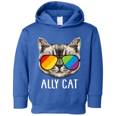 Ally Ca Ally Cat Lgbtq+ Lgbt Flag Lgbt Ally Cat Cute Gift Toddler Hoodie