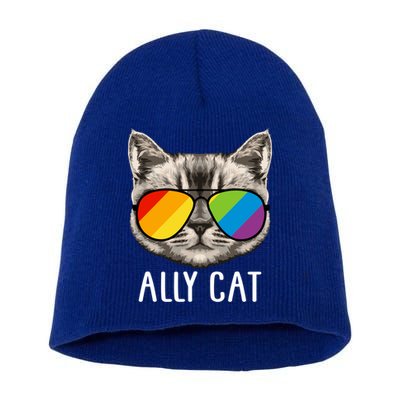 Ally Ca Ally Cat Lgbtq+ Lgbt Flag Lgbt Ally Cat Cute Gift Short Acrylic Beanie