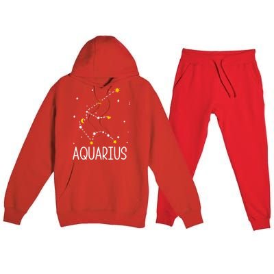 Aquarius Constellation Aquarius Zodiac Sign Birthday Gift Premium Hooded Sweatsuit Set