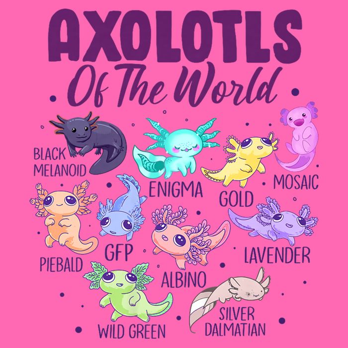Axolotl Cute Axolotls Of The World Kawaii Stripe Pom Pom Beanie