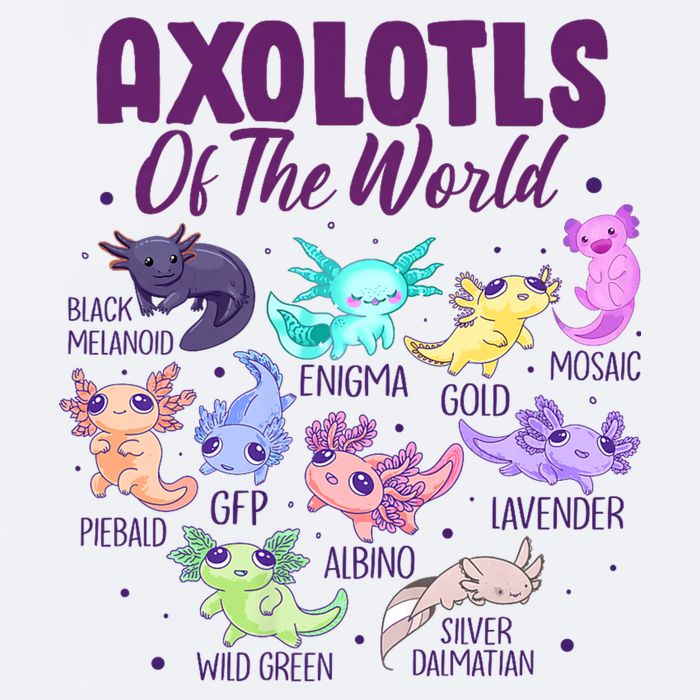 Axolotl Cute Axolotls Of The World Kawaii Sueded Cloud Jersey T-Shirt