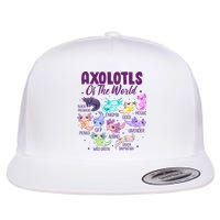 Axolotl Cute Axolotls Of The World Kawaii Flat Bill Trucker Hat