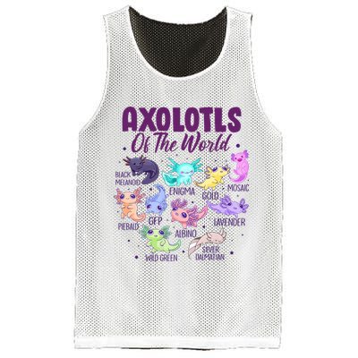 Axolotl Cute Axolotls Of The World Kawaii Mesh Reversible Basketball Jersey Tank