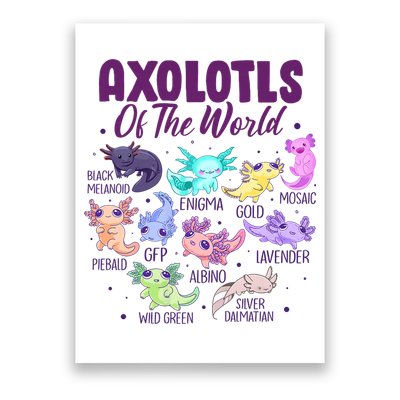 Axolotl Cute Axolotls Of The World Kawaii Poster