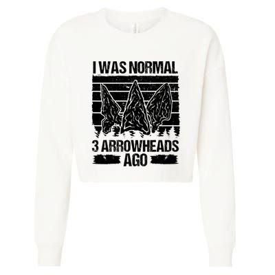 Arrowhead Collecting Artifact Hunting Arrowhead Lover Cropped Pullover Crew