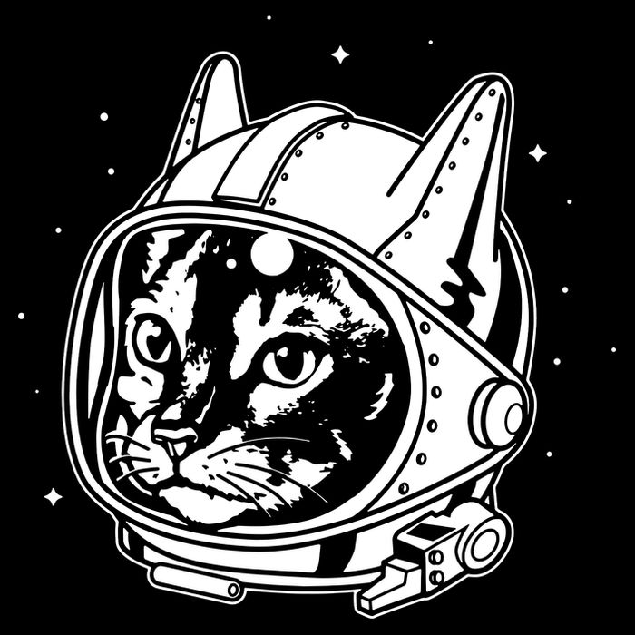 Astro Cat Mug