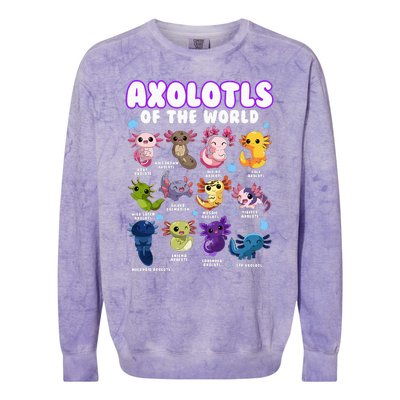 Axolotl Cute Axolotls Animals Of The World Herpetology Colorblast Crewneck Sweatshirt