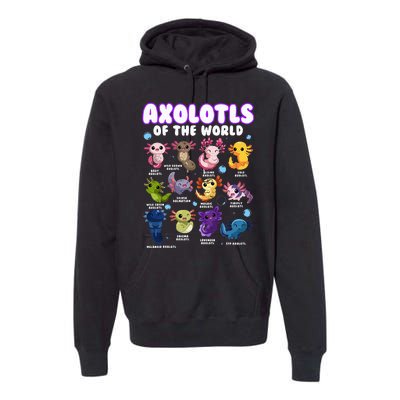 Axolotl Cute Axolotls Animals Of The World Herpetology Premium Hoodie