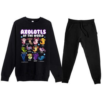 Axolotl Cute Axolotls Animals Of The World Herpetology Premium Crewneck Sweatsuit Set