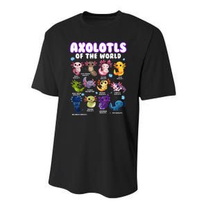 Axolotl Cute Axolotls Animals Of The World Herpetology Youth Performance Sprint T-Shirt