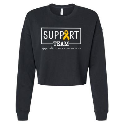 Appendix Cancer Awareness Support Team Cropped Pullover Crew