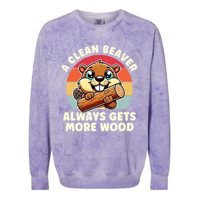 A Clean Beaver Always Gets More Wood Adult Humor Colorblast Crewneck Sweatshirt