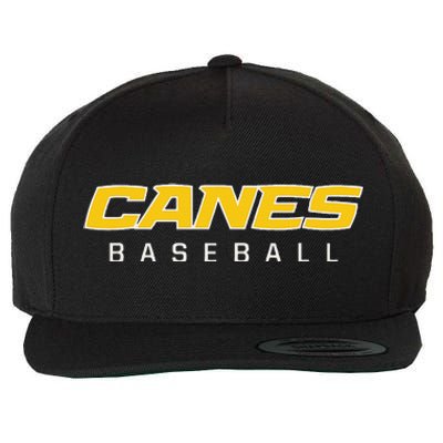 As Canes Baseball Sports Wool Snapback Cap