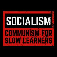Anti Communist Capitalist Libertarian Anti Socialism Kids Hoodie