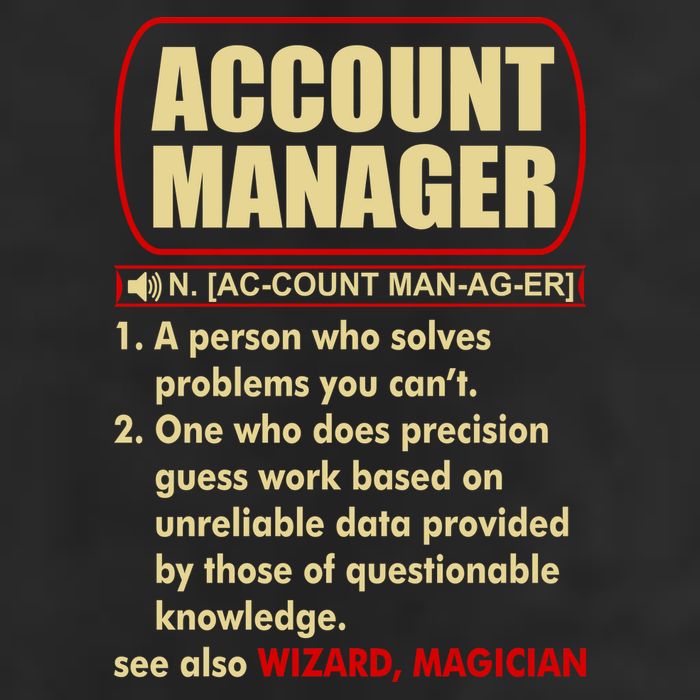 Account Manager Dictionary Definition Term Beanie