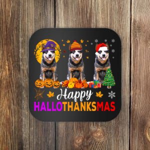 Australian Cattle Dog Halloween Christmas Hallothanksmas Coaster