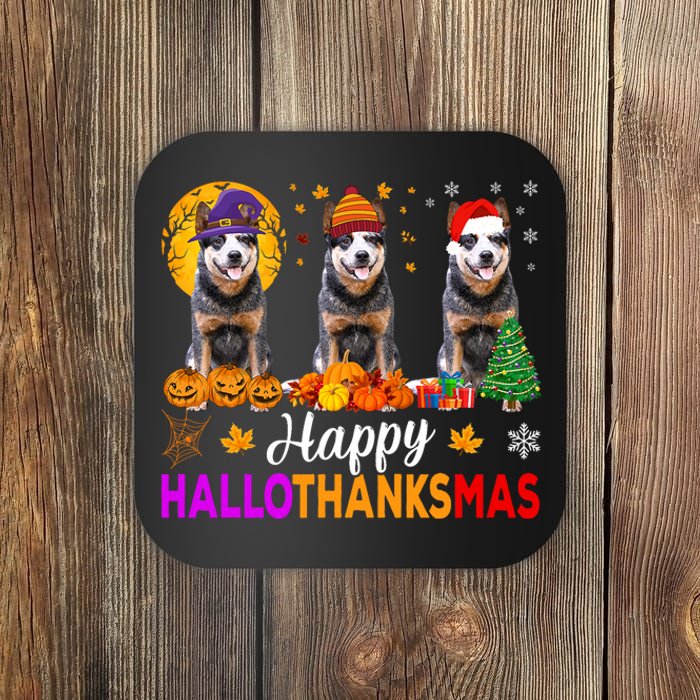 Australian Cattle Dog Halloween Christmas Hallothanksmas Coaster