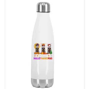 Australian Cattle Dog Halloween Christmas Hallothanksmas Stainless Steel Insulated Water Bottle