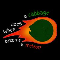 A Cabbage Does When Become A Meteor Funny Design 7-Panel Snapback Hat