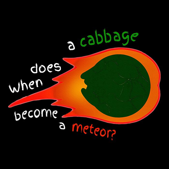 A Cabbage Does When Become A Meteor Funny Design 7-Panel Snapback Hat