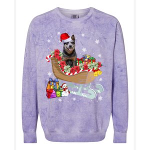 Australian Cattle Dog Christmas Santa Hat Xmas Puppy Lover Gift Colorblast Crewneck Sweatshirt