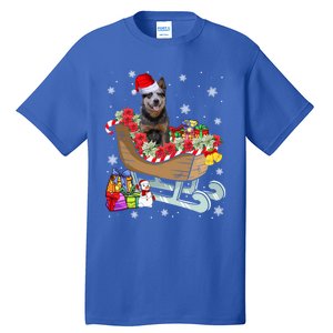 Australian Cattle Dog Christmas Santa Hat Xmas Puppy Lover Gift Tall T-Shirt