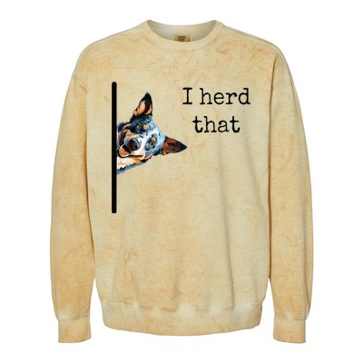 Australian Cattle Dog Owner Funny I Herd That Blue Heeler Colorblast Crewneck Sweatshirt