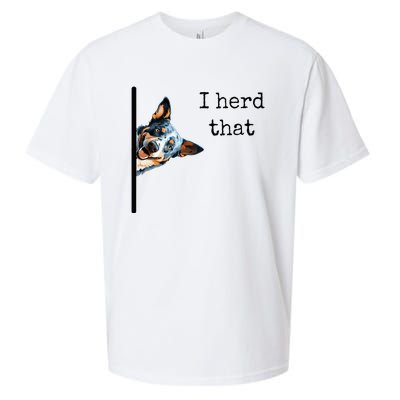 Australian Cattle Dog Owner Funny I Herd That Blue Heeler Sueded Cloud Jersey T-Shirt