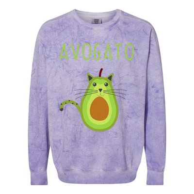 Avogato Cinco De Mayo Gift Cinco De Meow Cat Avocado Colorblast Crewneck Sweatshirt