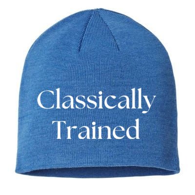 A Classic Design That Says Classically Trained Gift Sustainable Beanie