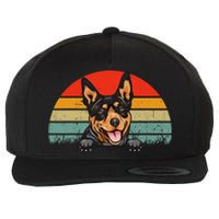 Australian Cattle Dog Vintage Distressed Retro Style Wool Snapback Cap