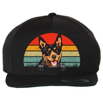 Australian Cattle Dog Vintage Distressed Retro Style Wool Snapback Cap