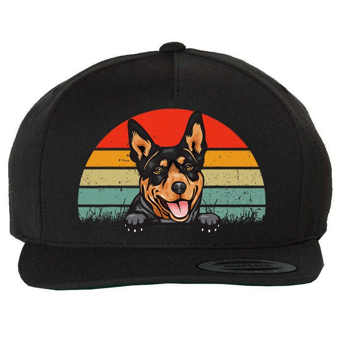 Australian Cattle Dog Vintage Distressed Retro Style Wool Snapback Cap