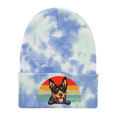 Australian Cattle Dog Vintage Distressed Retro Style Tie Dye 12in Knit Beanie