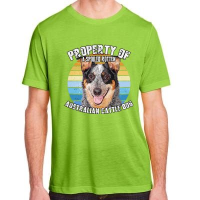 Australian Cattle Dog Blue Retro Property Of Cute Dog Adult ChromaSoft Performance T-Shirt