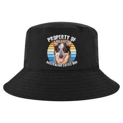 Australian Cattle Dog Blue Retro Property Of Cute Dog Cool Comfort Performance Bucket Hat