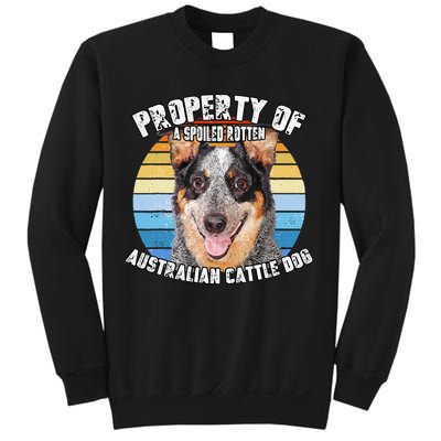 Australian Cattle Dog Blue Retro Property Of Cute Dog Sweatshirt